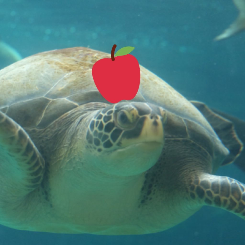 ごぶぞう 3y 7w Gobuzow Pre Twitter