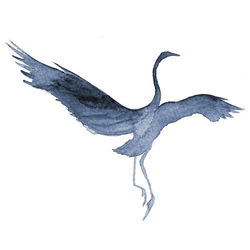 herondance's profile picture. Heron Dance Art Studio: publisher of A Pause For Beauty, a poem, short excerpt and painting celebrating the beauty and mystery of life and of the natural world.