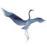 herondance's profile picture. Heron Dance Art Studio: publisher of A Pause For Beauty, a poem, short excerpt and painting celebrating the beauty and mystery of life and of the natural world.