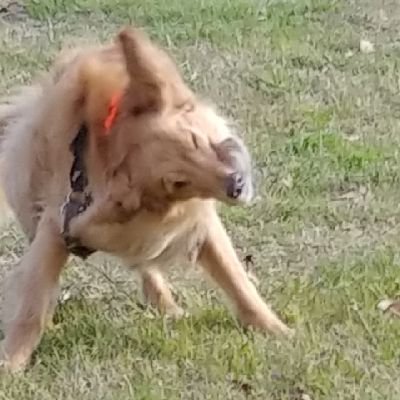 mrlebowsk33's profile picture. ....