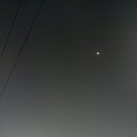 . (@theonlylatibule) 's Twitter Profile