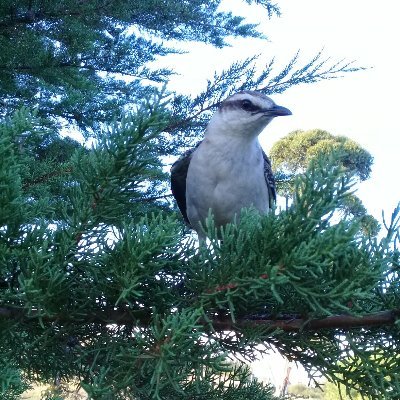 El soñar es también un desafío, amante del campo, la naturaleza y defensor de lo jurídico antes que lo político