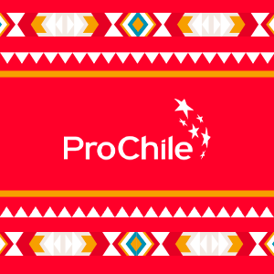 Promovemos las #Exportaciones de Bienes y Servicios chilenos, además de estimular la #Inversión Extranjera y el #Turismo en #Chile.