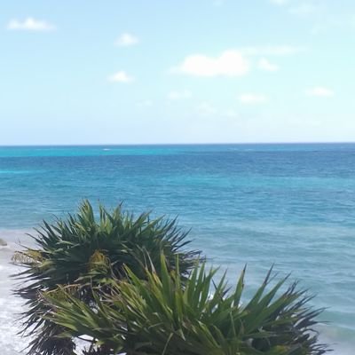 gab0hot33's profile picture. Me encanta la música