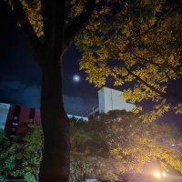 Btrnvsr (@btrnvsr) 's Twitter Profile