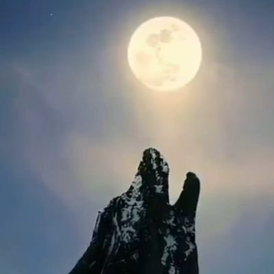 tuncay7700's profile picture. 