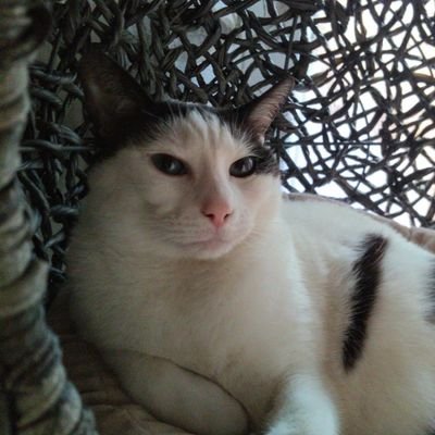 gabe_eric's profile picture. 