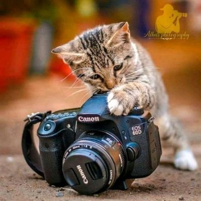 BwoyHamso's profile picture. 