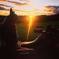 Duncan Morrison (@duncanmor) 's Twitter Profile