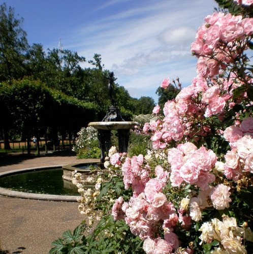 DMJ228's profile picture. 