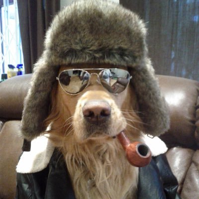 Canigetawatwat's profile picture. 