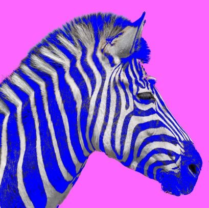 Das Zebra ist Pazifist. Und das Herz schlägt links, auch beim Zebra. Pronomen: es.