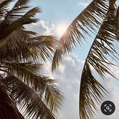 Asha3m's profile picture. 