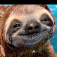 Memesters (@fridaymemeteam) 's Twitter Profile