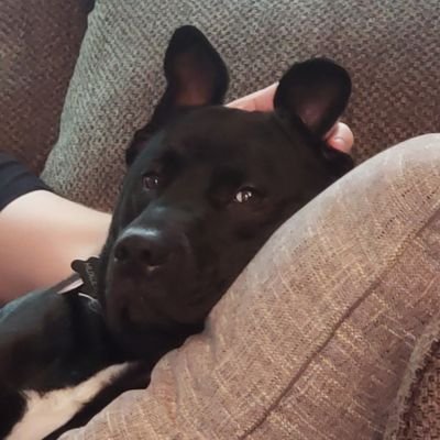 claudiawaddup's profile picture. continually amazing myself