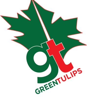 GreenTulipsImm Profile Picture