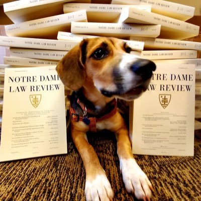 Professor @NDLaw. Black belt in Tsundoku. Tweets my own. Work stuff at https://t.co/5iQGTny2Sj…