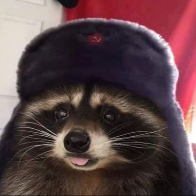 raccomrade_420 Profile Picture