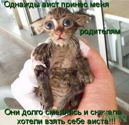 люблю пообщатся с интересними людьми и посмеятся вместе с ними