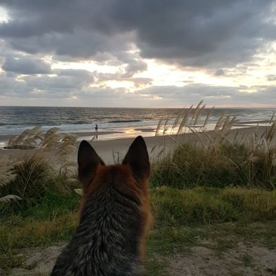 ramounapellido's profile picture. 