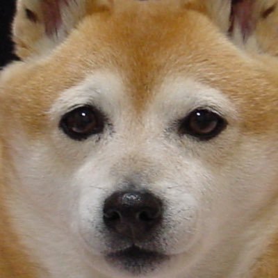 しるくさんのプロフィール画像