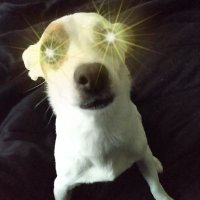 kevin (@kevin22721065) 's Twitter Profile