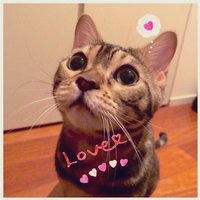 🌸momo🌸 💖ɞ˚with LOVECOVERS💖ɞ˚˙(@JJWing126) 's Twitter Profile Photo