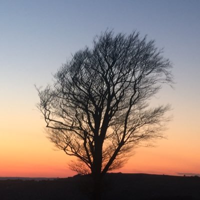 I make electronic music, do mixing & mastering and work in a university. Obsessed with synths & audio tech. Email: northworksmusic at gmail dot com