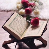 شُـروق | 🌸 (@shro0q5) 's Twitter Profile