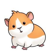 xGuineapig Profile Picture