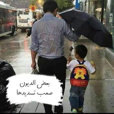 LallaMohamedzn's profile picture. 
