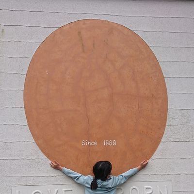 chiaki0610117's profile picture. 2021.12～BTSにどハマり→テテ推し♡
ギャップに一目惚れしております🥺
2023.7～またまた中村倫也さまにメロメロ♡
色んな役をする倫也さまに推し活中…

色んな方と繋がりたい♡♡
推し活専念宣言しまーす(●︎´▽︎`●︎)

無言フォローすみません(⊃ᯅ⊂💦)ﾋﾟｴﾝ