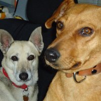 LAVOZDELOSOTROS (@lavozdelosotros) 's Twitter Profile Photo LAVOZDELOSOTROS (@lavozdelosotros) 's Twitter Profile Photo