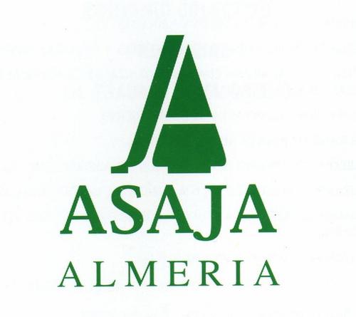 ASAJAAlmeria Profile Picture