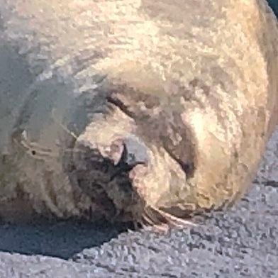 たかのふさんのプロフィール画像