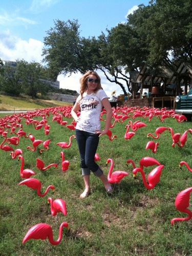 therealboshus's profile picture. 