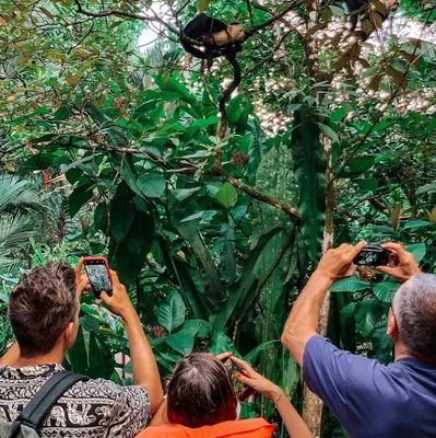 #Tortuguero Local Tour Guide It is a group of local #Guides, where they try to offer you the best Tours and the best Packages. They are very friendly, friendly.