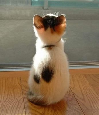 Muhamma32594077's profile picture. i am computer personal