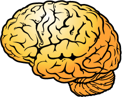 BrainTrainingHQ's profile picture. Brain Training HQ is a newly started website on the topic of Brain Training. We will collect and review the best methods of maintaining your mental fitness!