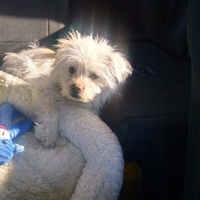 cindyt1953's profile picture. 