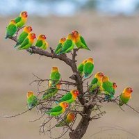 Vikas Nain (@vikasnain97) 's Twitter Profile