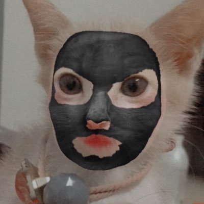 imtoeyyy's profile picture. อาจี้ปูอะนิงๆกวกยกว จี้ปู