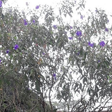 Horeeeyyyy's profile picture. 