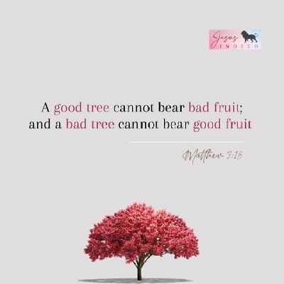 Ravalitha1's profile picture. never stop learning because life never stop teaching