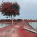 Aakash Teotia (@bangan_bharta) Twitter profile photo Aakash Teotia (@bangan_bharta) Twitter profile photo