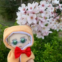 ãã¡ã (@juju_0524) 's Twitter Profile Photo ãã¡ã (@juju_0524) 's Twitter Profile Photo