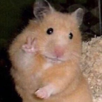 himynamedoechii's profile picture. всякая ненужная штука здесь