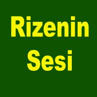 RizeninSesi(@RizeninSesi) 's Twitter Profile Photo