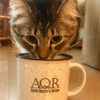 AlaskaQuarterlyReview (@aqreview) 's Twitter Profile