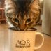 AlaskaQuarterlyReview (@aqreview) Twitter profile photo AlaskaQuarterlyReview (@aqreview) Twitter profile photo